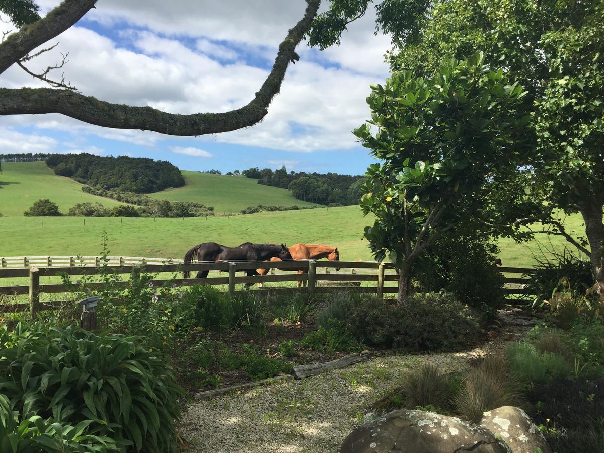 Quail Lodge Nz Snells Beach Exterior foto